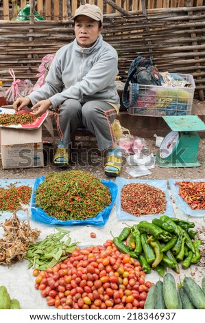 LUANG PRABANG, LAOS - DEC 8: Unidentified woman selling green grocery and spices at traditional asian food marketplace on Dec 8, 2013 in Luang Prabang, Laos