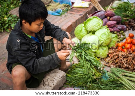 LUANG PRABANG, LAOS - DEC 8: Unidentified boy selling green grocery and spices at traditional asian food marketplace on Dec 8, 2013 in Luang Prabang, Laos