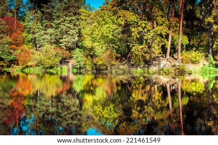 Sunny day in outdoor park with lake and colorful autumn trees reflection under blue sky. Amazing bright colors of autumn nature landscape