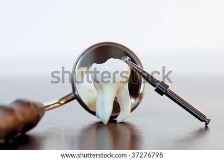 Human Wisdom Tooth And Dental Tools