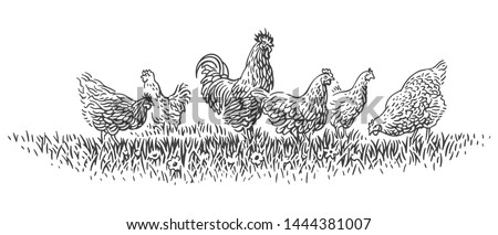 Chicken Black And White Clipart | Free download on ClipArtMag