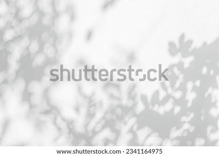 Similar – Image, Stock Photo romantic concrete