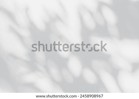 Similar – Image, Stock Photo tree-shadow Nature Plant