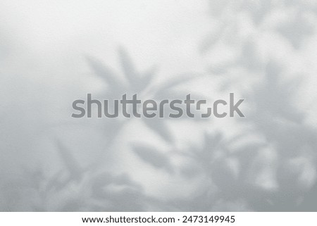 Similar – Image, Stock Photo tree-shadow Nature Plant