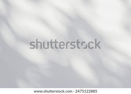 Similar – Foto Bild Schatten von Blättern an einer Holzwand