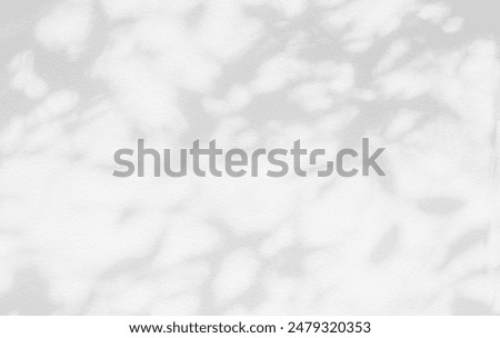 Similar – Image, Stock Photo tree-shadow Nature Plant