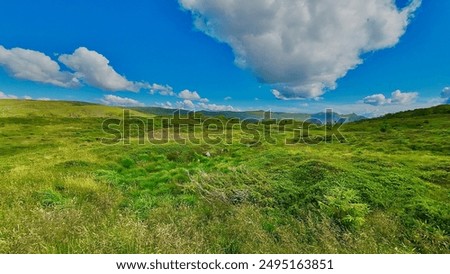 Similar – Foto Bild Erstaunliche Aussicht auf die Stadt Bergen von der Spitze des Berges Fløyen in Norwegen.