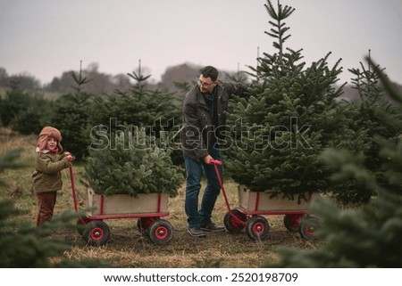 Image, Stock Photo Christmas Lifestyle