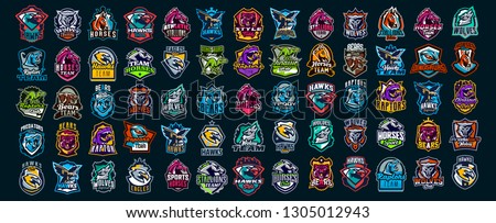 Set of animal emblems. Bear, dinosaur, eagle, leopard, wolf, horse, fox, lion, grizzly, raptor, hawk, jaguar, cat, lynx, leo, stallion, birds. Sports mascots, colorful collection, vector illustration