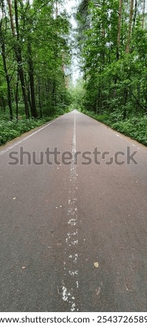 Foto Bild Gerade Straße in einer Allee von trockenen Bäumen ohne Blätter im Winter / Anfang Frühling Luftaufnahme