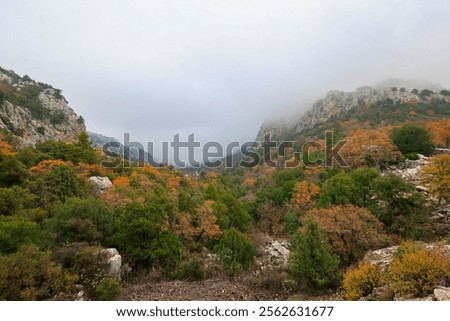 Similar – Image, Stock Photo Ancient city in foggy autumn day