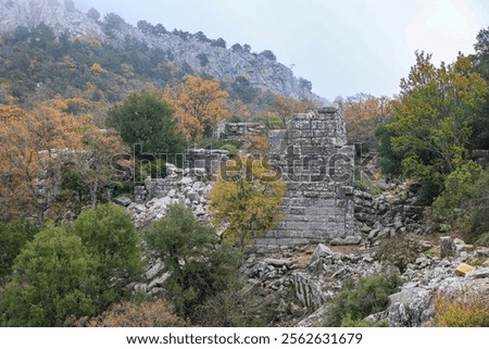 Similar – Image, Stock Photo Ancient city in foggy autumn day