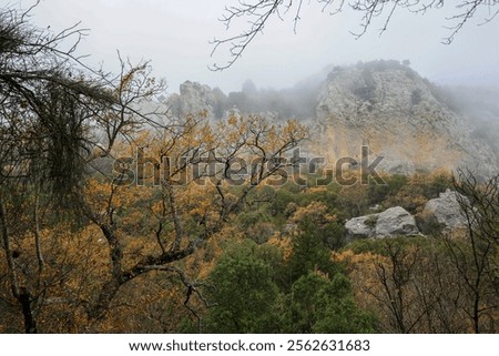 Similar – Image, Stock Photo Ancient city in foggy autumn day