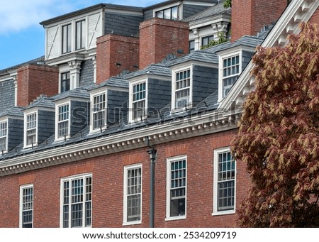 Similar – Image, Stock Photo Double avenue from rows of green trees