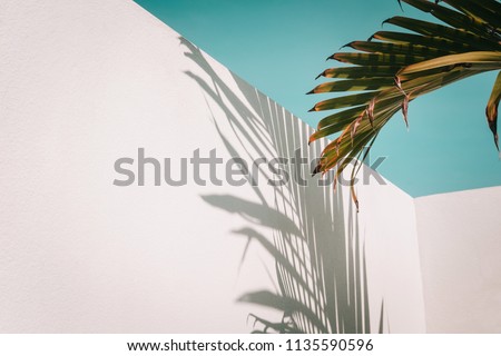 Image, Stock Photo Palm leaves against blue sky