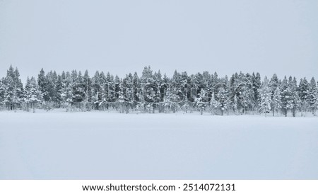 Similar – Foto Bild Schneelandschaft im Wald