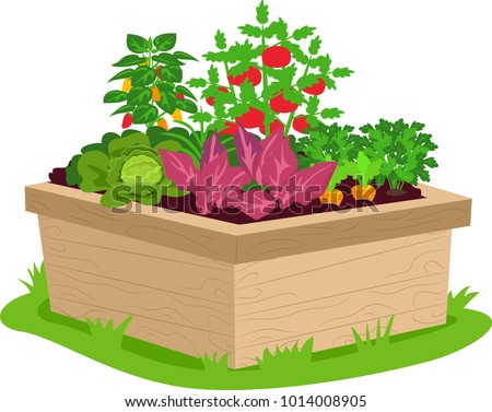 Illustration of a Square Garden Container Filled with Vegetables  of Different Types