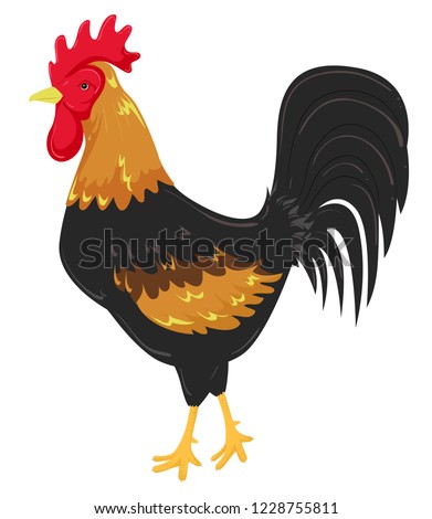 Illustration of a Gallic Rooster as National Symbol of France