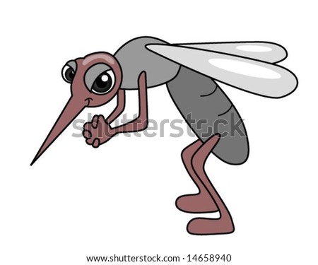 Mosquito - Vector - 14658940 : Shutterstock