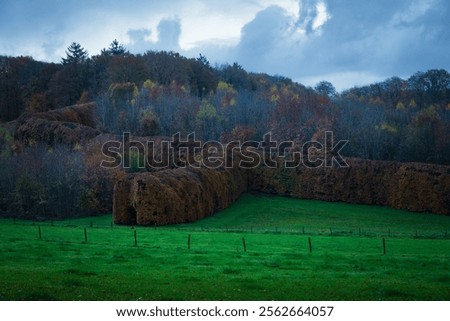 Similar – Image, Stock Photo autumn beech hedge in the park