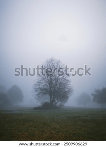 Similar – Image, Stock Photo melancholy Foggy landscape