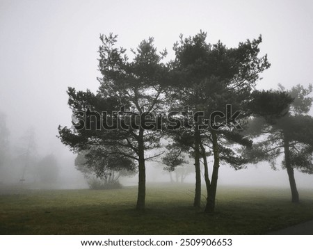 Similar – Image, Stock Photo melancholy Foggy landscape