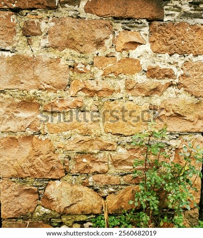 Similar – Image, Stock Photo Brick wall abstractly seen.