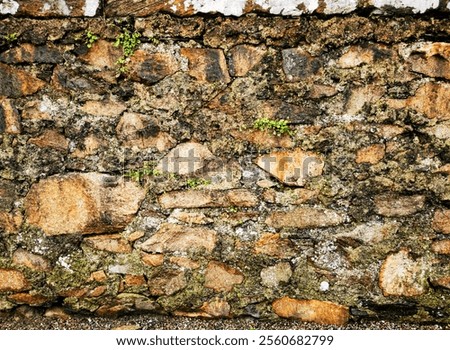 Similar – Image, Stock Photo Brick wall abstractly seen.