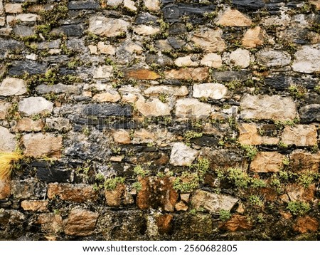 Similar – Image, Stock Photo Brick wall abstractly seen.