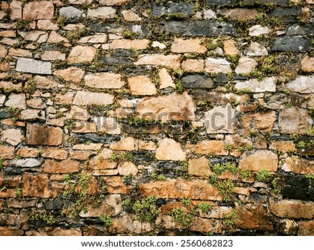 Similar – Image, Stock Photo Brick wall abstractly seen.