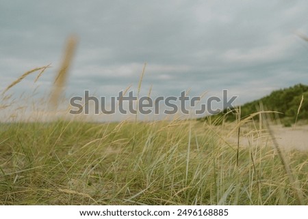 Similar – Image, Stock Photo Seaside on cloudy day