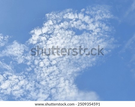 Similar – Image, Stock Photo Morning atmosphere with diffuse sunlight … A paved walkway leads between the trees along a hill