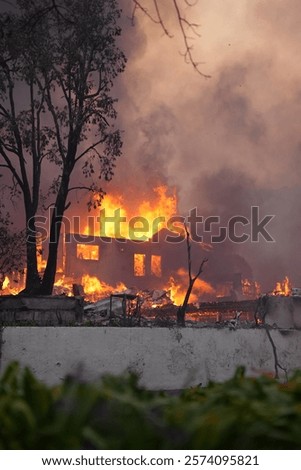 Similar – Image, Stock Photo Burned down remains of the New Year’s Eve fireworks on New Year’s morning