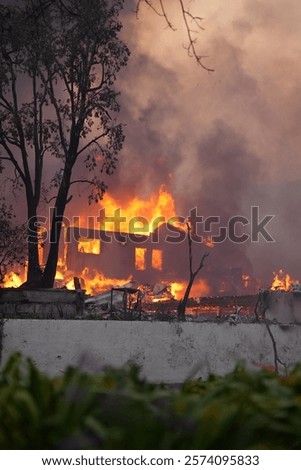 Similar – Image, Stock Photo Burned down remains of the New Year’s Eve fireworks on New Year’s morning