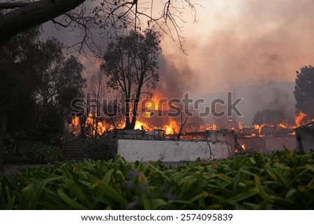 Similar – Image, Stock Photo Burned down remains of the New Year’s Eve fireworks on New Year’s morning