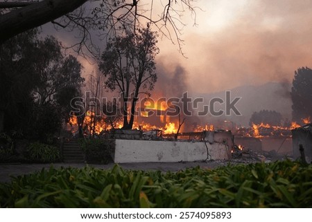 Image, Stock Photo Burned down remains of the New Year’s Eve fireworks on New Year’s morning