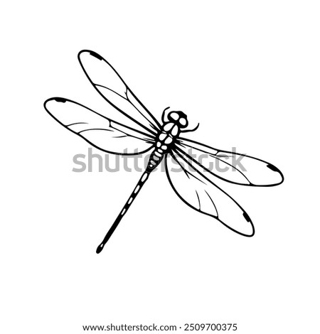 Dragonfly Line Art Drawing. Minimalistic Black Sketch Linear Design of Beautiful Dragonfly for Wall Art, Poster, Print, Logo, Business Card, Web, Social Media. Vector 