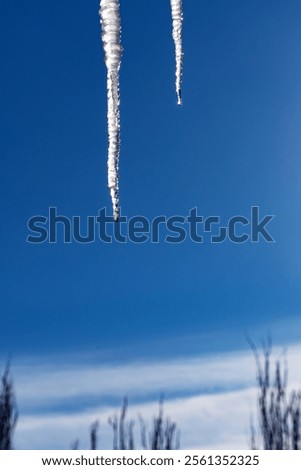 Similar – Image, Stock Photo Icicle (2) Ice Winter