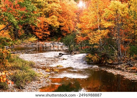 Similar – Image, Stock Photo an autumn river from above