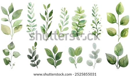 Set of green watercolor leaves on isolated background