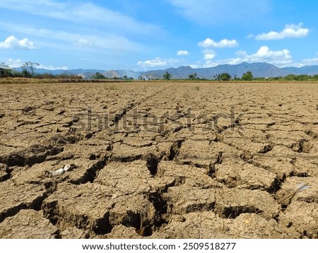 Similar – Image, Stock Photo arid Environment Nature