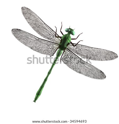 Dragonfly Wing Shawl pattern | Yarn Bazaar
