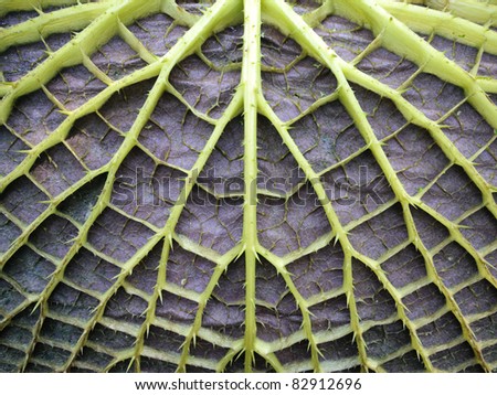 Similar – Image, Stock Photo Wild Surface structure