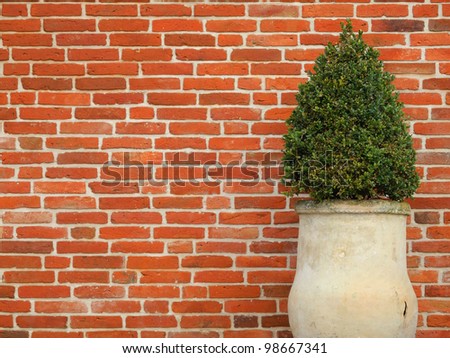 Similar – Image, Stock Photo green Plant stones clinker