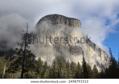 Similar – Image, Stock Photo Misty morning at the mountains