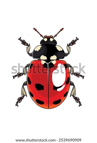 Lady Bug detailed vector top view with red and black plus white and black dot body armour