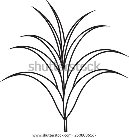 napier grass vector silhouettes icon