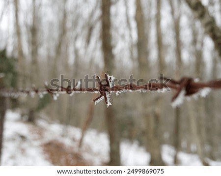 Foto Bild Raureif am Stacheldraht und am Maschendrahtzaun vor blauem Himmel