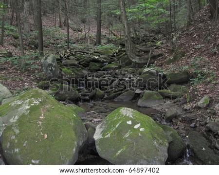 Stream along the Appalachian Trail