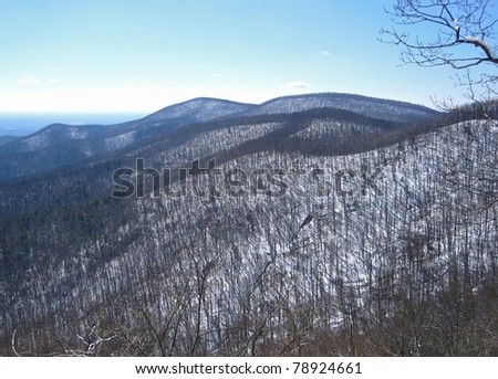 Appalachian Trail in Georgia